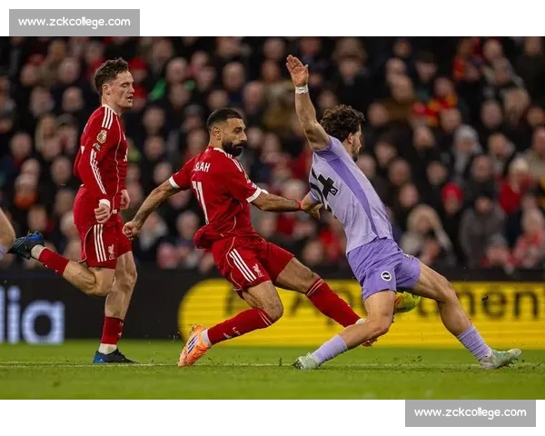 布莱顿 2025-26 主场球衣发布！邓克、吕特领衔演绎蓝白新章