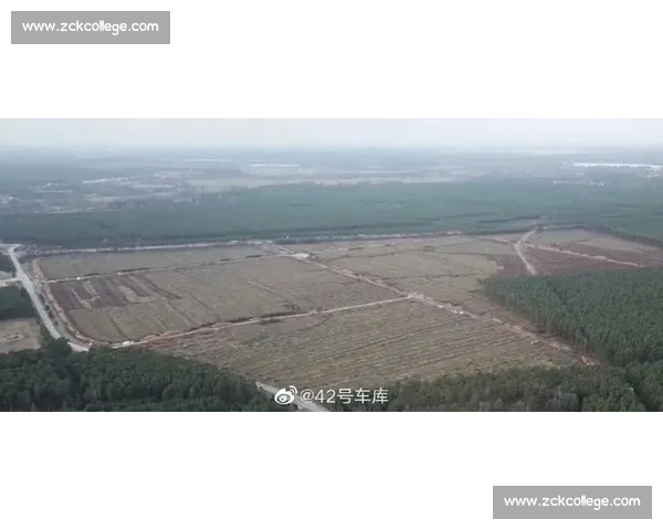 郑钦文柏林站闯关：九巨头围堵 + 60 分保分战，草地短板迎大考